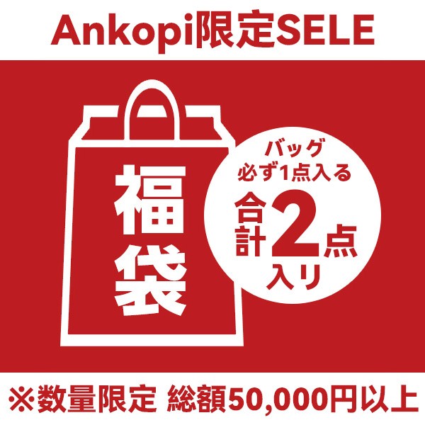 ハイブランド福袋2024★スーパーコピーバッグ・小物2点★